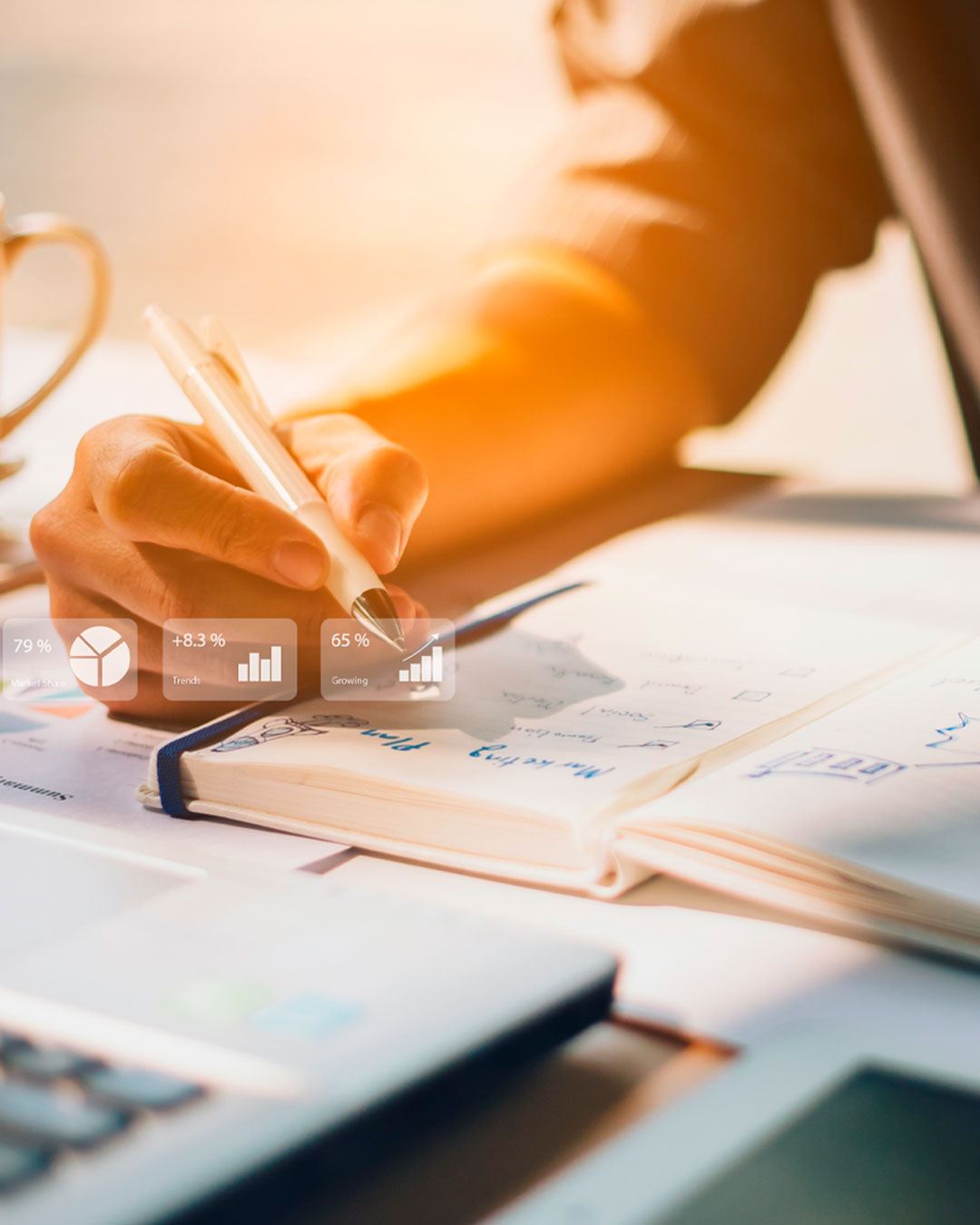 Gestão de Fornecedores